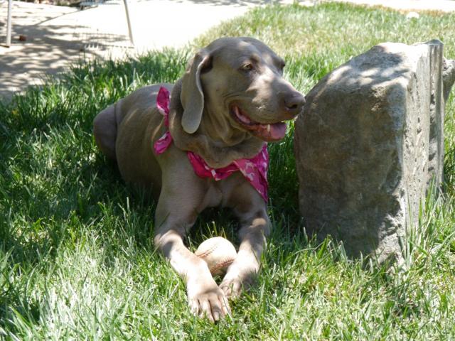 Abi with Ball (Medium)